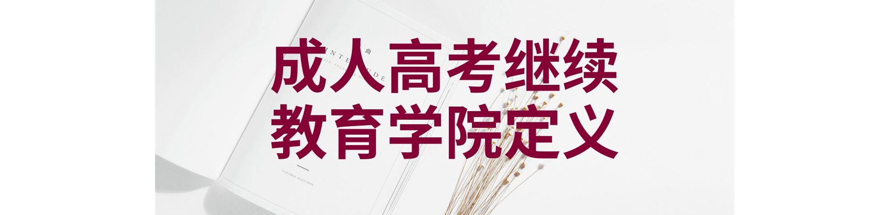 海南省成人高等学历继续教育